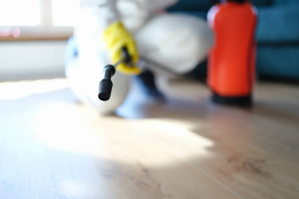 Dehumidification Services in Weissport East, PA